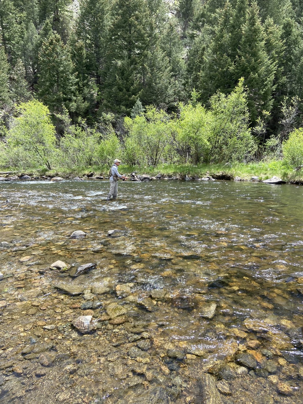 Fly fishing on Clear Creek near Golden, Colorado
